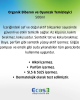 Ecos3 Organik Biberon ve Oyuncak Temizleyici 500ml – Doğal, vegan ve hassas ciltler için güvenli ürün