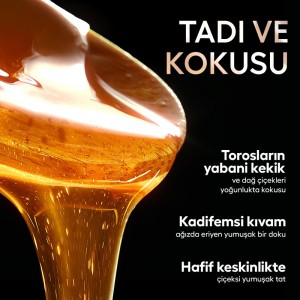 Polifloralı(Çok Çiçekli) Bal TA16+ 450g