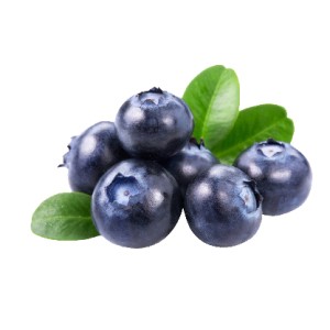 Organik Yaban Mersini Kg (Donuk)