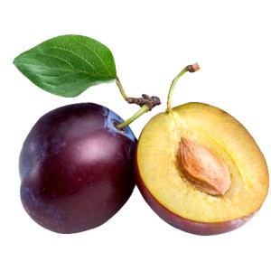 Organik Mürdüm Erik Kg