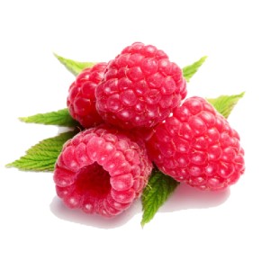 Organik Ahududu Şale 250gr DONUK