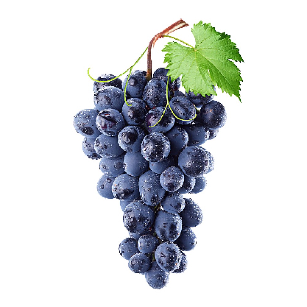 Organik Üzüm (Siyah) Kg