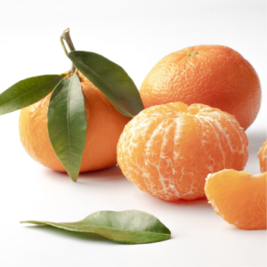 Organik Mandalina Kg