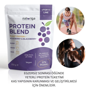 Berry Protein Karışımı