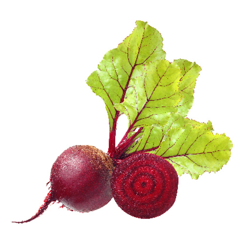 Organik Kırmızı Pancar Kg