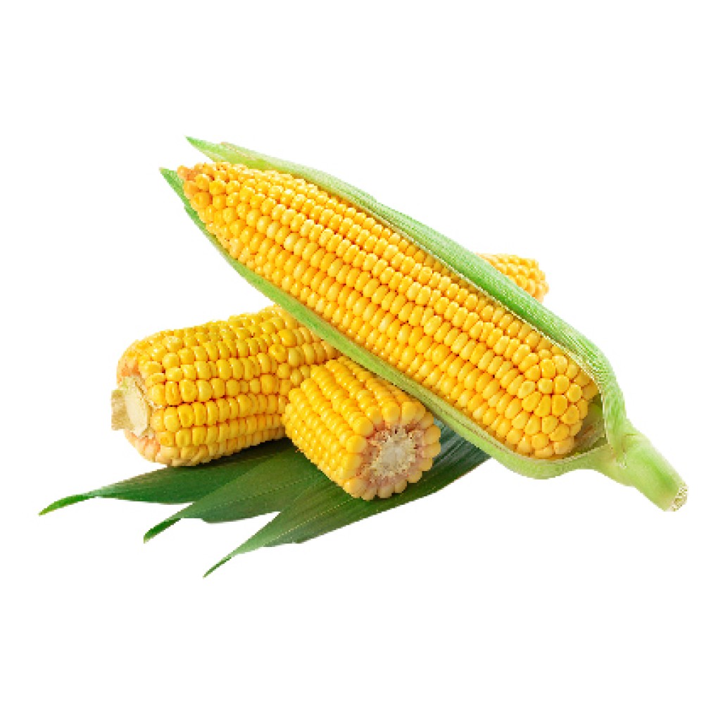 Organik Mısır (Adet)