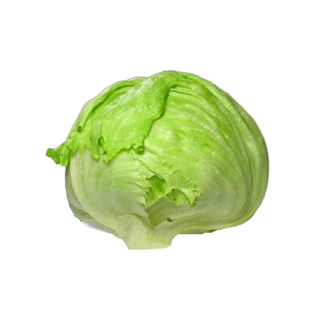 Organik Iceberg (Göbek)