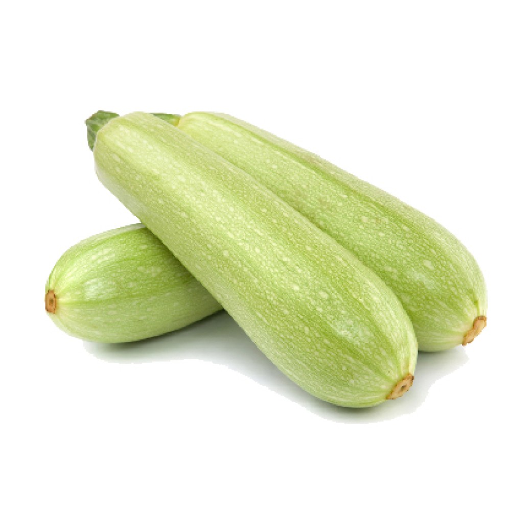 Organik Sakız Kabak Kg