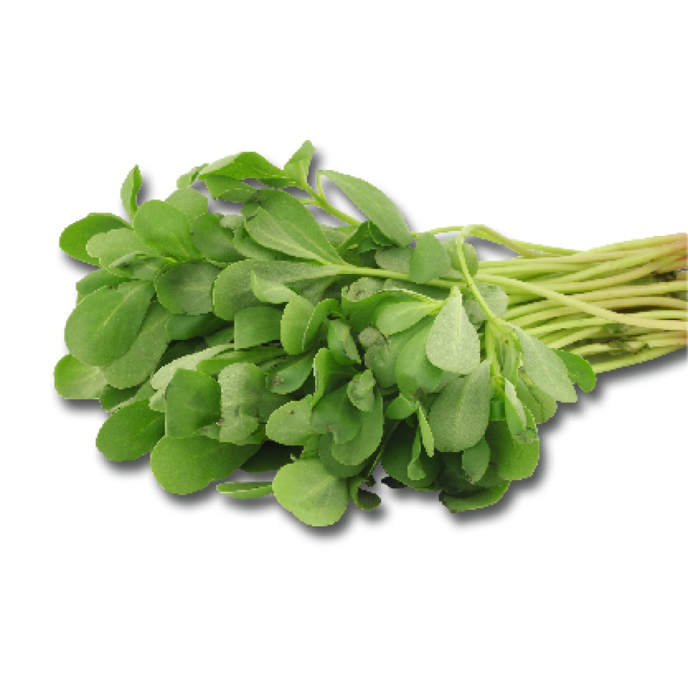 Organik Semizotu Demet