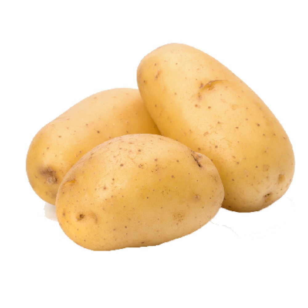 Organik Patates Kg