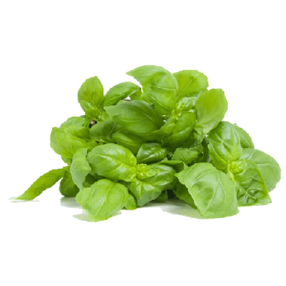 Organik Fesleğen Demet