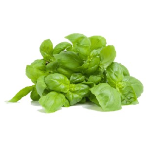 Organik Fesleğen Demet