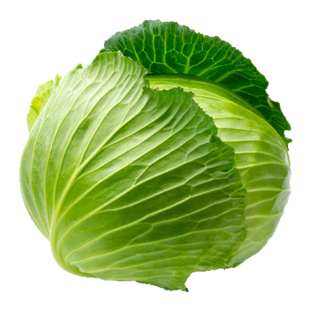 Organik Beyaz Lahana Kg