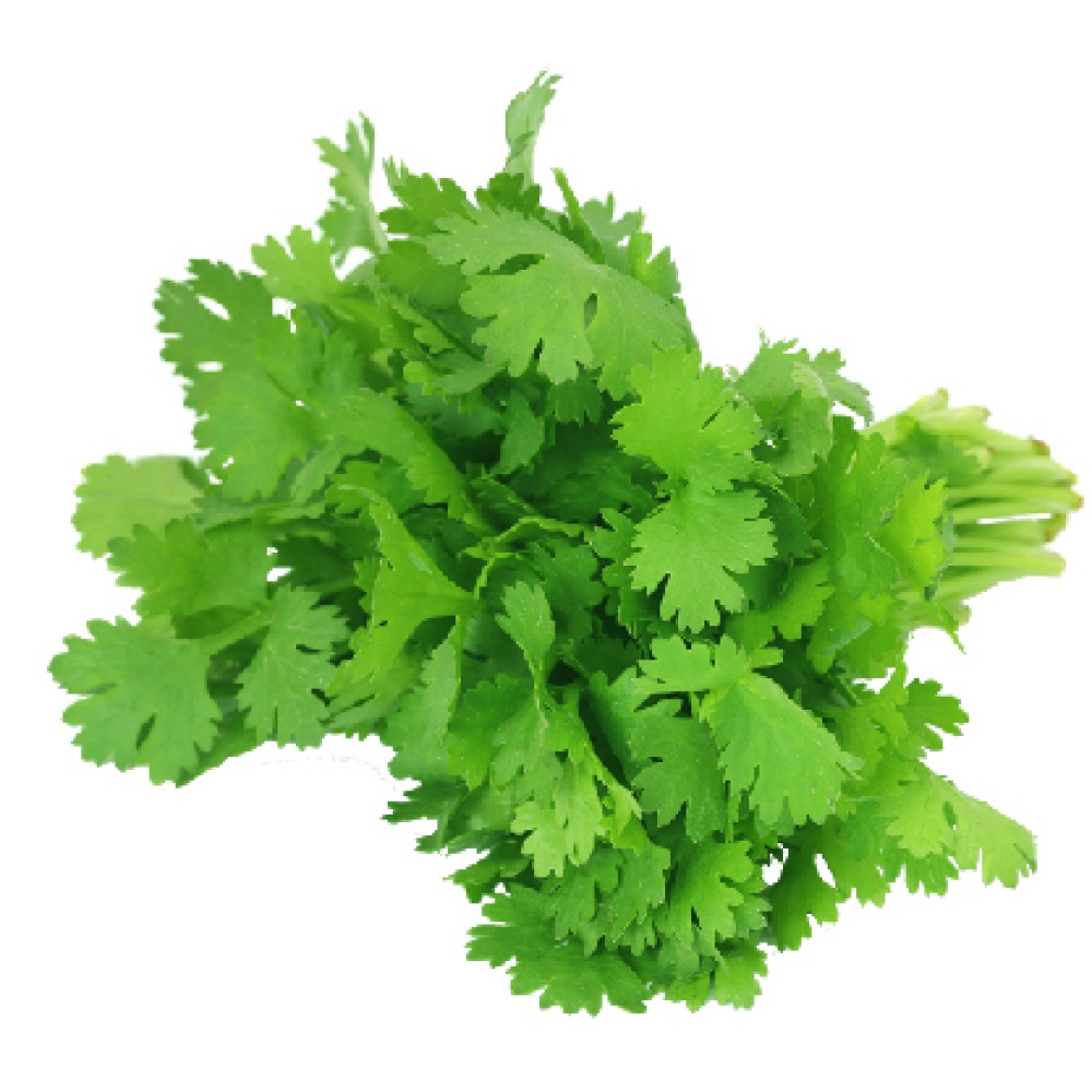 Organik Kişniş Demet