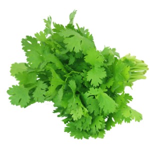 Organik Kişniş Demet