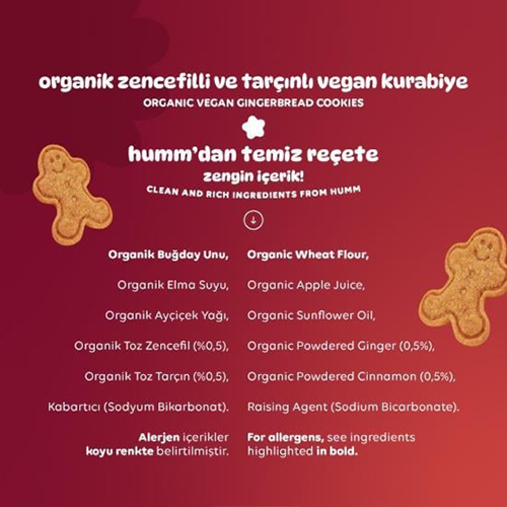 Organik zencefilli ve tarçınlı kurabiye 55 gr paket, vegan glutensiz baharatlı kurabiye