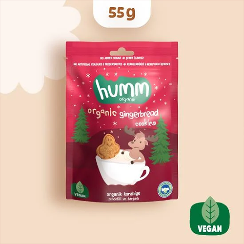 Organik zencefilli ve tarçınlı kurabiye 55 gr paket, vegan glutensiz baharatlı kurabiye