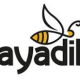 Kayadibi