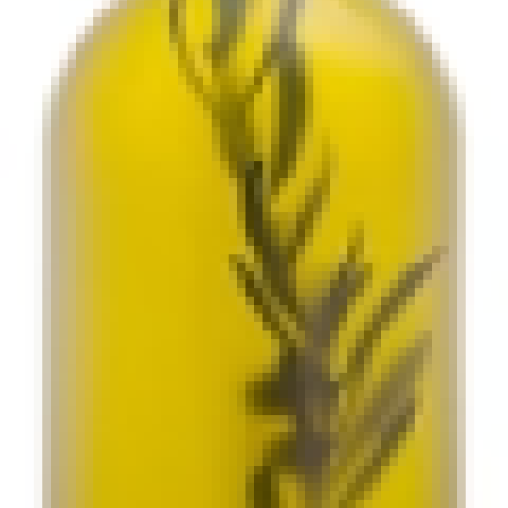 Yeni hasat filtresiz naturel sızma zeytinyağı 1500 ml cam şişe, bulanık doğal sızma zeytinyağı