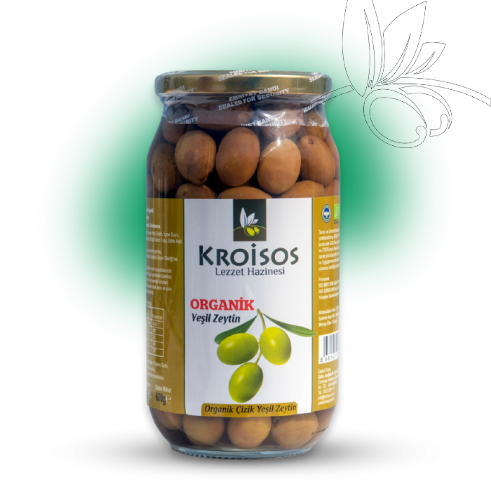 Organik yeşil zeytin 600 gr büyük kavanoz, kostiçsiz ve doğal salamura yeşil zeytin