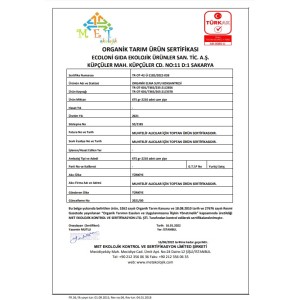 Elma Suyu Konsantresi (675 GR)